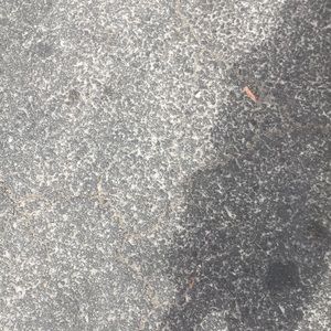 Meet your Posher, Bruno